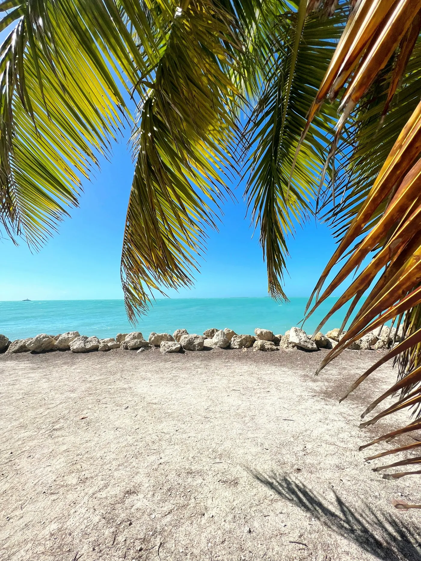 Lake Worth